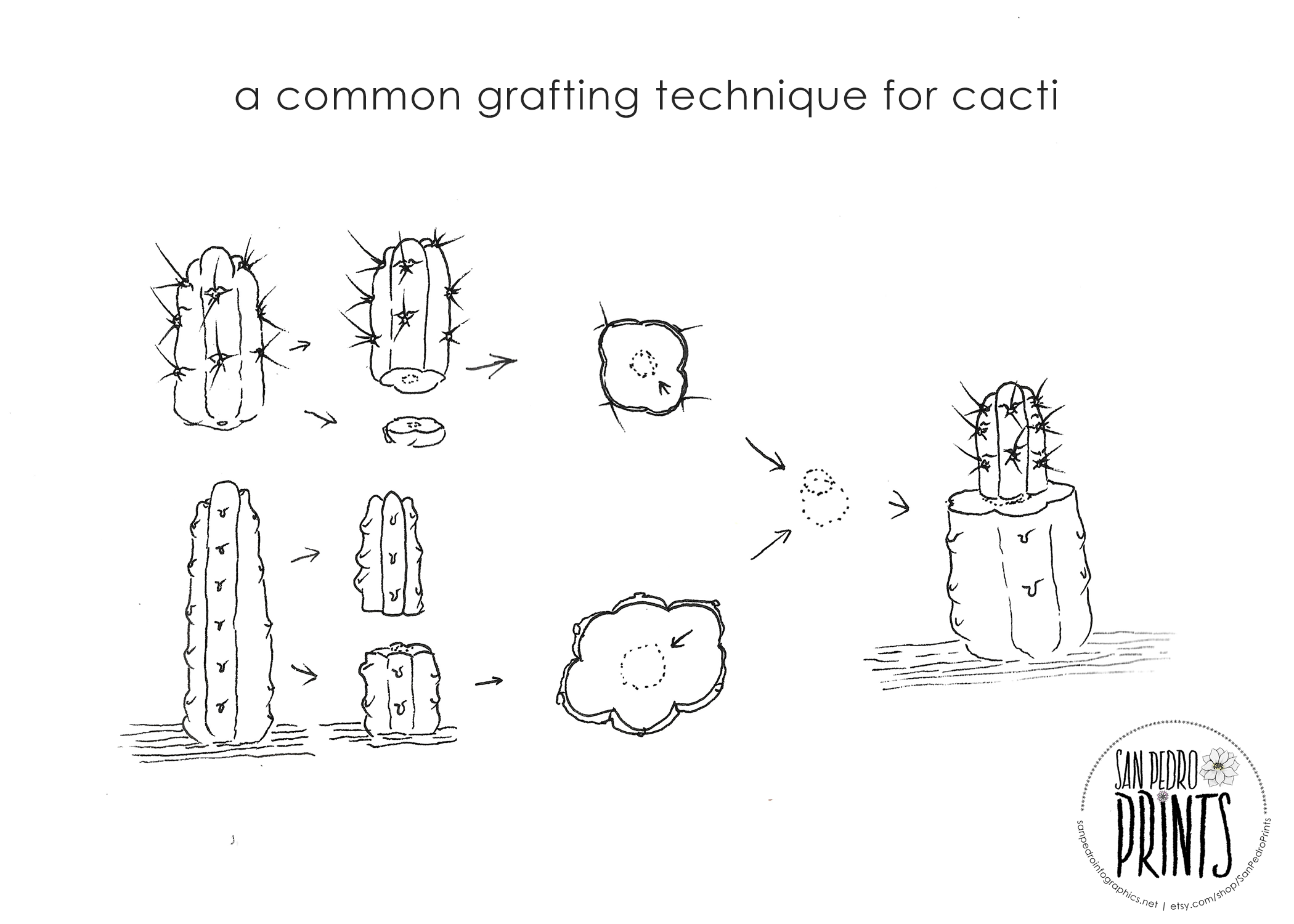 Grafting2